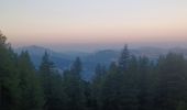 Trail Walking Seyne - SEYNES.  COL BAS . LES 3 LACS . O L S - Photo 2