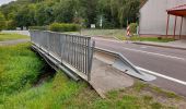 Percorso A piedi Salzatal - Stengelholzweg W 5.13 - Photo 4