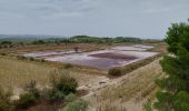 Randonnée Marche Sigean - Les Salins de Sigean - Photo 3