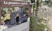 Tour Wandern Saussines - Saussines Les Capitelles de la Benovie - Photo 15