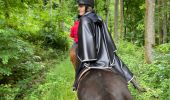 Trail Horseback riding Fauvillers - Bavigne Tripoux 2022 - Photo 13