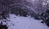 Tocht Sneeuwschoenen Andon - Descente vers le Loup en raquettes - Photo 6