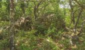 Tour Wandern La Farlède - De La farlède au plateau de Mourras - Photo 3