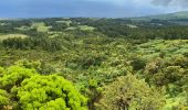 Trail Walking Flamengos - FAI GR01 : De volcan en volcan, Faial, Azores - Photo 6