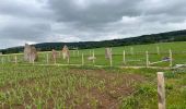 Trail Walking Durbuy - MANE - Wéris - Autour des Mégalithes de la culture de Marne-Seine-oise - Photo 8