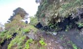 Tocht Stappen Frontera - Sabinosa - El Sabinar - Ermita Virgen de Los Reyes (El Hierro) - Photo 4