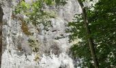 Tour Wandern Thuès-Entre-Valls - gorge de la Carança  - Photo 11