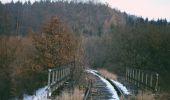 Randonnée A pied Altmannstein - Schambach Ursprungweg - Photo 7