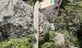 Excursión Senderismo Chamonix-Mont-Blanc - Montroc,Les 4 vents par les echelles d'Argentiere,Les Tines - Photo 9