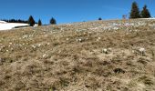 Excursión Senderismo Arâches-la-Frasse - Les Carroz l'Arbaron en boucle - Photo 16