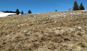 Tocht Stappen Arâches-la-Frasse - Les Carroz l'Arbaron en boucle - Photo 16