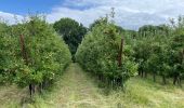 Tour Wandern Eijsden-Margraten - Rijckholt - Photo 10