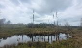 Tour Wandern Hohenfels - rando ornitho wibrin 26-04-2024 - Photo 7