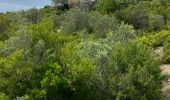 Trail Walking Fontvieille - Fontvieille - Photo 2