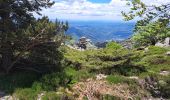 Trail Walking Rosis - Caroux - Photo 6