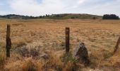 Trail Walking Peyre en Aubrac - GR65 j2 - Photo 1