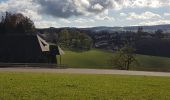 Tour Wandern St. Märgen - Cascade Zweribach depuis Sankt Märgen - Photo 2