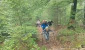 Trail Walking Saulcy-sur-Meurthe - Massif du KEMBERG - Photo 16