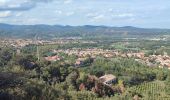 Tocht Stappen Céret - 8km balcons de Ceret - Photo 2