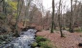 Trail Walking Jalhay - pont de belle heid la vallée de la hoegne - Photo 6