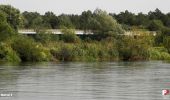 Percorso A piedi Grabów nad Pilicą - Bory Sosnowe okolic Warki - ścieżka - Photo 1