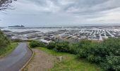 Tour Wandern Hirel - GR_34_AC_03_Hirel_Cancale_20230320 - Photo 17