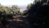 Tocht Stappen Fréjus - Lac de L'Avellan - Photo 1