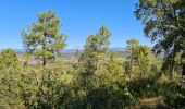 Excursión Senderismo Les Arcs-sur-Argens - Vidauban - Tournavelle - Photo 4