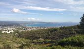 Trail Walking La Ciotat - La Ciotat - Photo 1