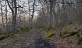 Trail Walking Murol - 2020-02-23 12:44:15 Chronomètre - Photo 4