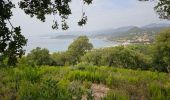 Trail Walking Calcatoggio - Murtetu (boucle) - Photo 2