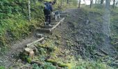 Randonnée Marche Oderen - TREK ALSACIEN (boucle, la meute) - Photo 8