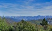 Trail Walking Saou - asptt le grand pomerole - Photo 3
