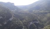 Tour Nordic Walking Villard-de-Lans - gorges de la Bourne - Photo 7