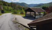 Tocht Stappen La Bresse - Montagne Lama - La Bresse  - Photo 5