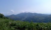 Randonnée Marche Bidarray - Bidarray - Photo 18