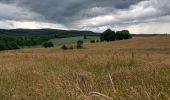 Tour Wandern Hohenfels - Houffalize 270622 - Photo 5