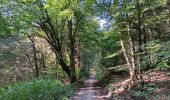 Tocht Stappen Stavelot - stavelot adeps 15km  01-09-2024 - Photo 18