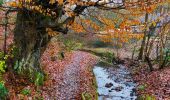Trail Walking Flémalle - La vallée du ruisseau des Awirs   - Photo 7