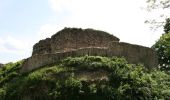 Tour Zu Fuß Dossenheim - Rundwanderweg Dossenheim 3 - Photo 9