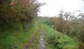 Tour Zu Fuß Westport-Belmullet Municipal District - Causeway Loop Walk - Photo 5