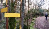 Trail Walking Nances - MONTAGNE DE L'EPINE: COTES DE NANCES - Photo 4