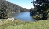 Randonnée Marche Le Valtin - gazon du fait les lacs - Photo 2