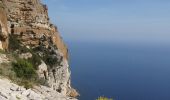Trail On foot Cassis - Sentier du Cap Canaille - Photo 3