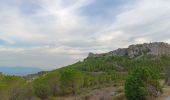 Excursión Senderismo Opoul-Périllos - cauna roja . perillos . château d´opoul  - Photo 4