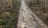 Trail Walking Huy - Solière et trou du Manto - Photo 4