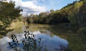 Tour Wandern Méounes-lès-Montrieux - Chartreuse de Montrieux, lac et vallée du Gapeau - Photo 8