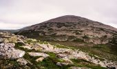 Percorso A piedi Unknown - Lochnagar & Loch Muick - Photo 1