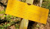 Trail Walking Etsaut - mature 1ere partie - Photo 6