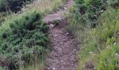 Trail Walking Les Adrets - LA CIME DE LA JASSE PAR LE GROS CAILLOU ET RETOUR PAR LE REFUGE D'AIGUEBELLE - Photo 12